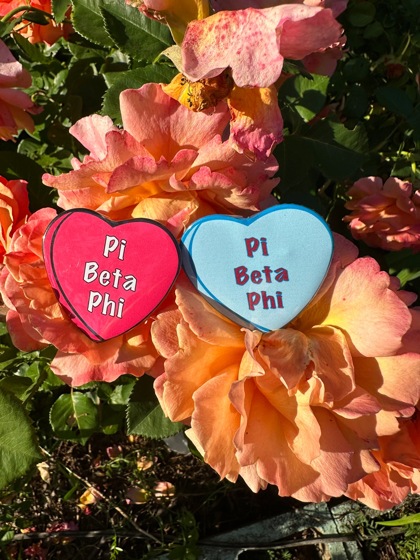 Pink Candy Heart Sorority Button